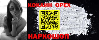 гашик Гусев