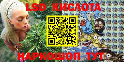 гашик Гусев