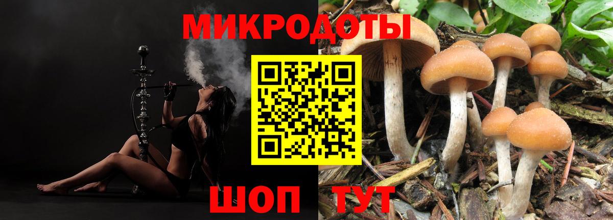 Менделеевск  Псилоцибиновые грибы Psilocybe  Вход с VPN 